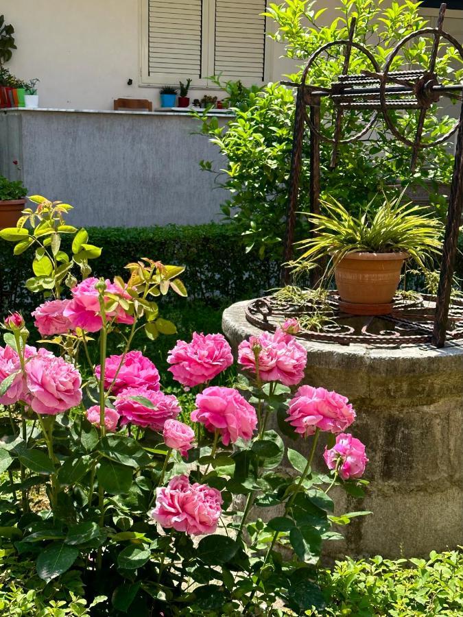 Js House Shkoder 1 Apartment ภายนอก รูปภาพ